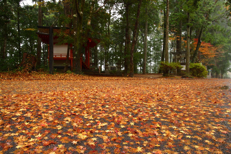 発心門王子 Autumn tints at Hosshinmon-Oji