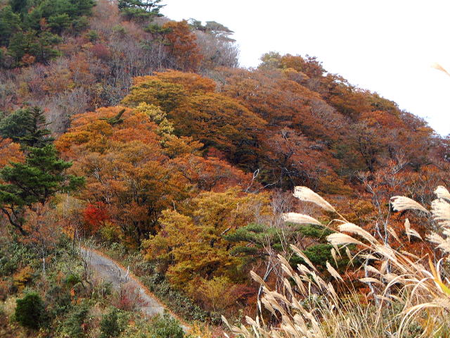 安堵山付近の紅葉 Autumn tints along Higashi-no-Kawa River