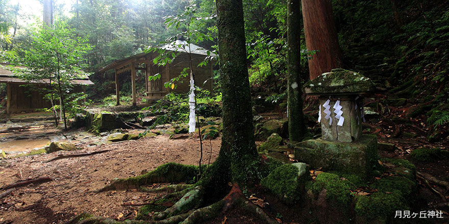 大日越の月見ヶ丘神社の写真
