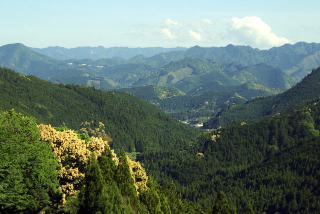伏拝からの眺め View from Fushiogami-Oji