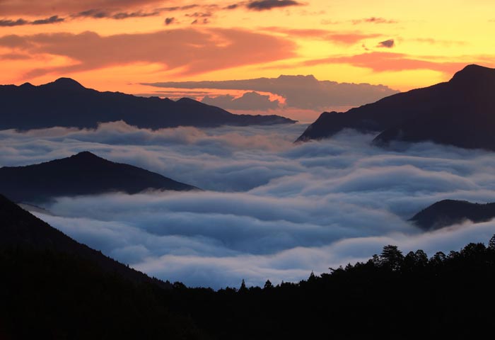 熊野の雲海 Sea ​​clouds of Kumano