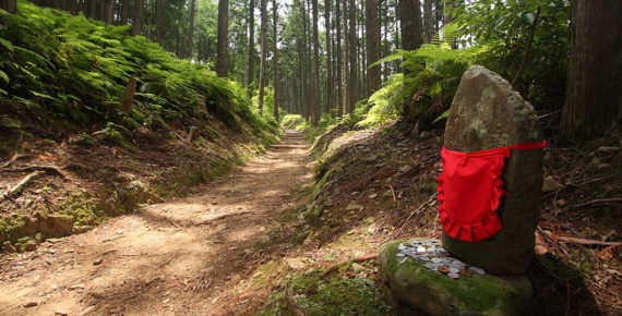 熊野古道の画像