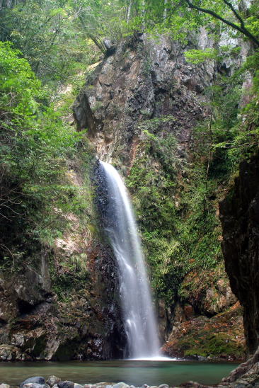 大塔渓谷-大杉谷の大杉滝 （Ohtou Ravine. Ohsugi Valley and Ohsugi Falls）