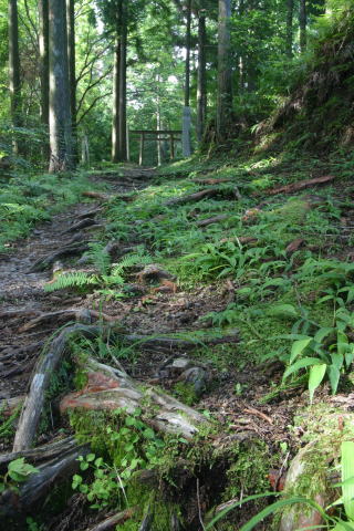 熊野古道イメージ写真